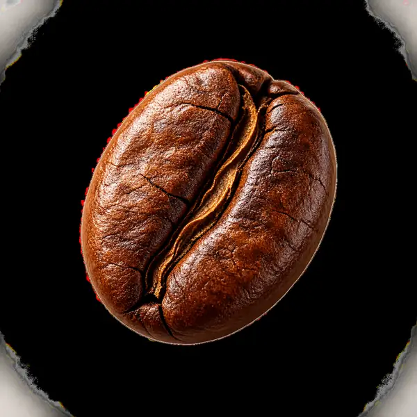 Kleines illustriertes Kaffeebohnen-Favicon für eine Kaffee-Website.